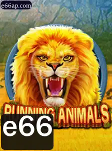 RunningAnimals: Explore a Divertida Corrida de Animais Selvagens